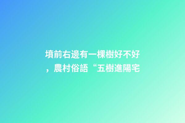 墳前右邊有一棵樹好不好，農村俗語“五樹進陽宅-第1張-觀點-玄機派